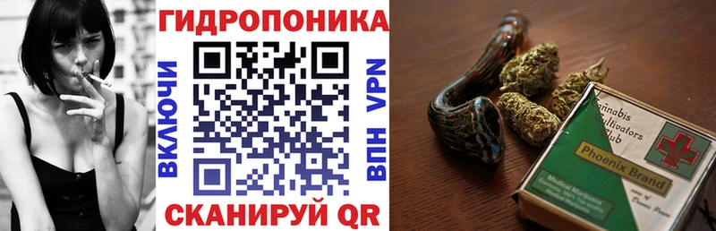Виды наркотиков купить Заволжск Амфетамин Alpha PVP МЕТАМФЕТАМИН блэк спрут ссылки Cocaine Марихуана Псилоцибиновые грибы МЕФ