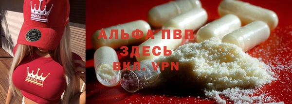 индика Семикаракорск